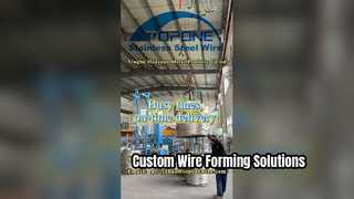 Custom Wire Forming Any Shape Stainless Steel